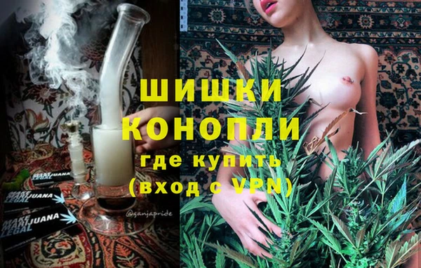дживик Арсеньев