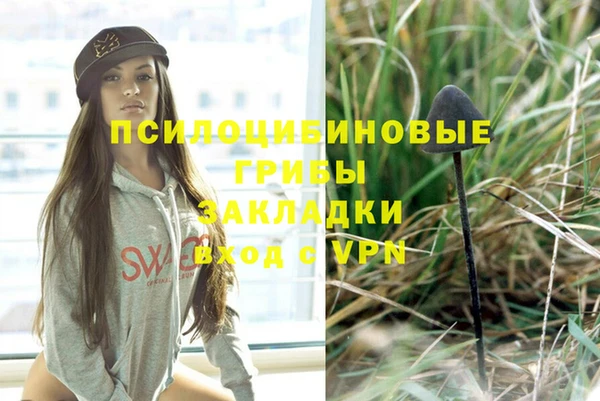 стафф Алексин