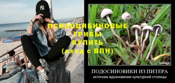МДПВ Алзамай