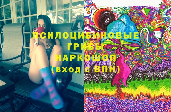 PSILOCYBIN Армянск