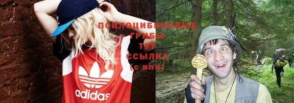 синтетический гашиш Алексеевка