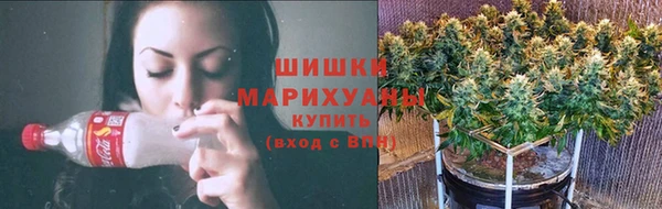 дживик Арсеньев