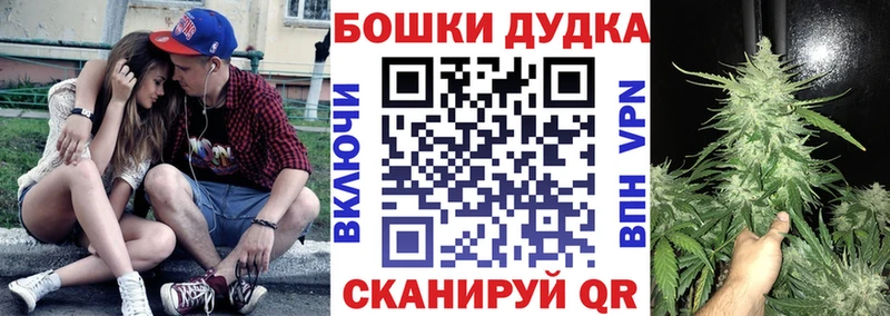 Купить закладки  Чебаркуль  Бошки Шишки марихуана 